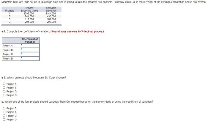 Solved Mountain Ski Corp. was set up to take large risks and | Chegg.com