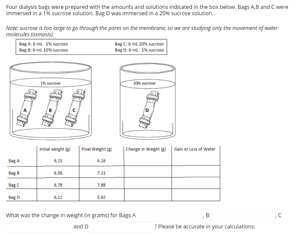 Solved Four dialysis bags were prepared with the amounts and