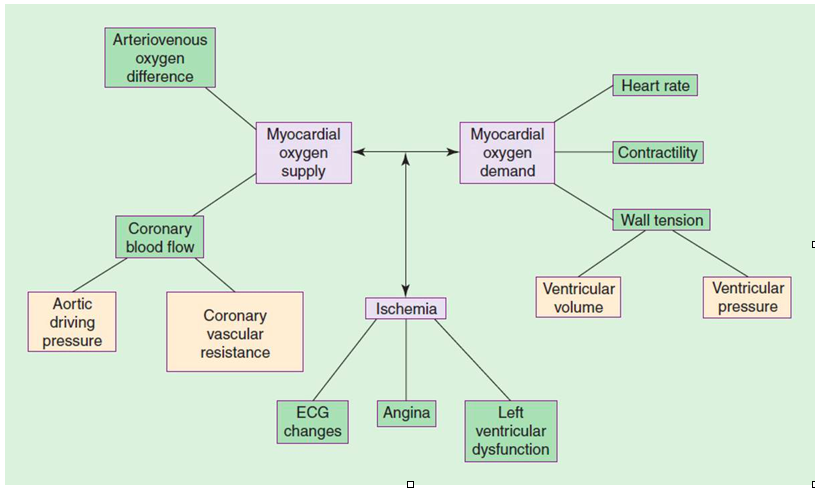 Solved Using the Demand and Supply Diagram – explain the | Chegg.com