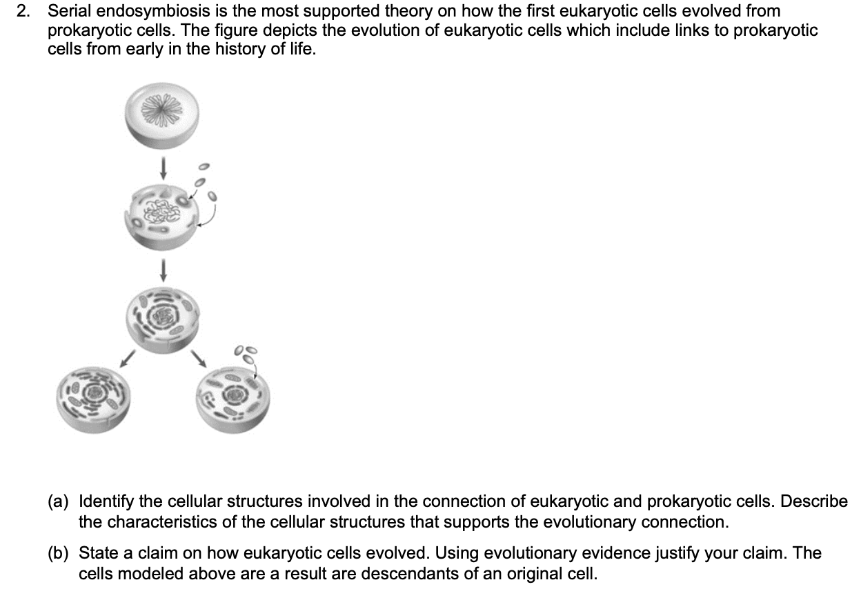 Solved 2. Serial endosymbiosis is the most supported theory