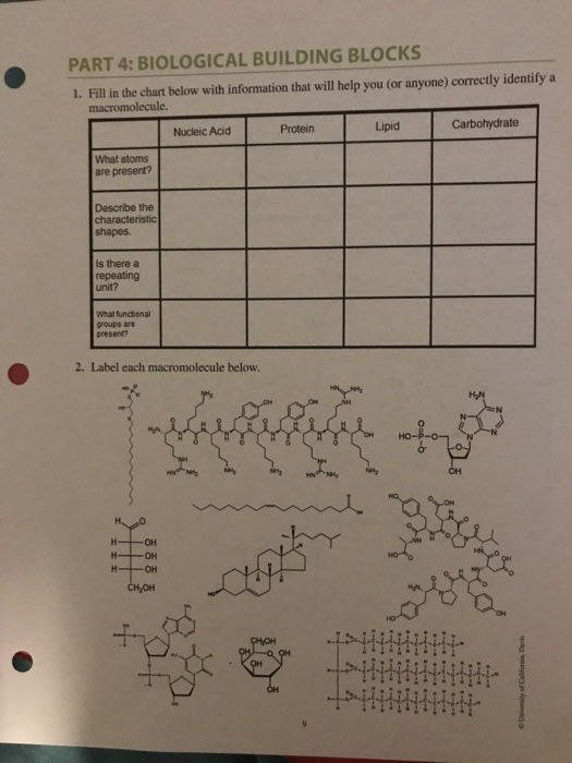 Solved PART 4 BIOLOGICAL BUILDING BLOCKS 1. Fill in the