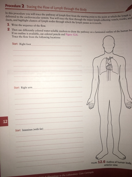 Solved Blood flow of lymph through the body | Chegg.com