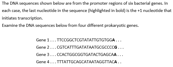 What is the sequence of the Pribnow box on | Chegg.com