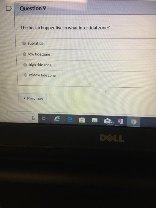 Solved Module 9 Ch 15 Reading Quiz Started Oct 15 At Chegg Com