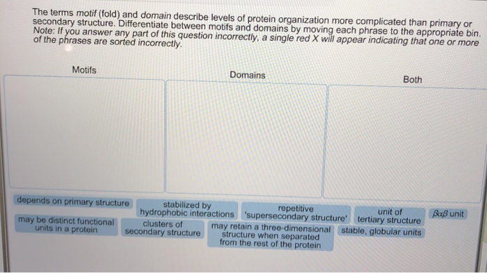 Solved The terms motif (fold) and domain describe levels of | Chegg.com