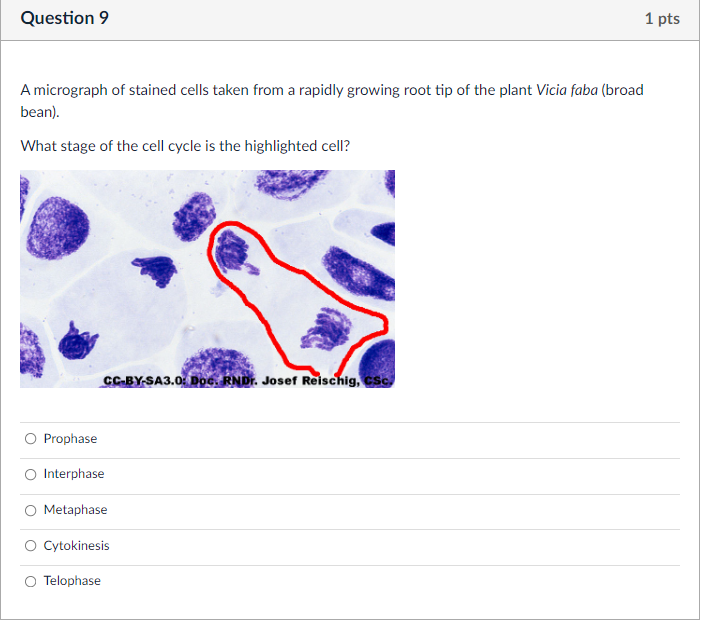 Solved Question 1 1 pts Fluidity of biological membranes is | Chegg.com