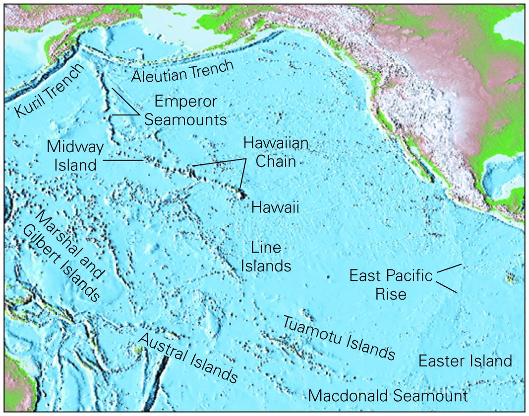 Solved 18 The Chain Of Hawaiian Islands Extends Northwest Chegg Com   PhpddYb2Z