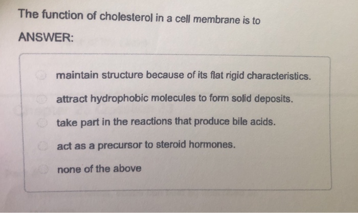 what-is-the-function-of-cholesterol-in-the-body