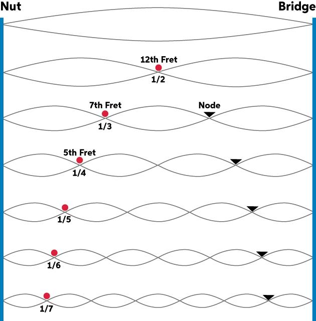 Solved A violin string of 𝐿 = 31.8 cm in length and 𝜇 = | Chegg.com