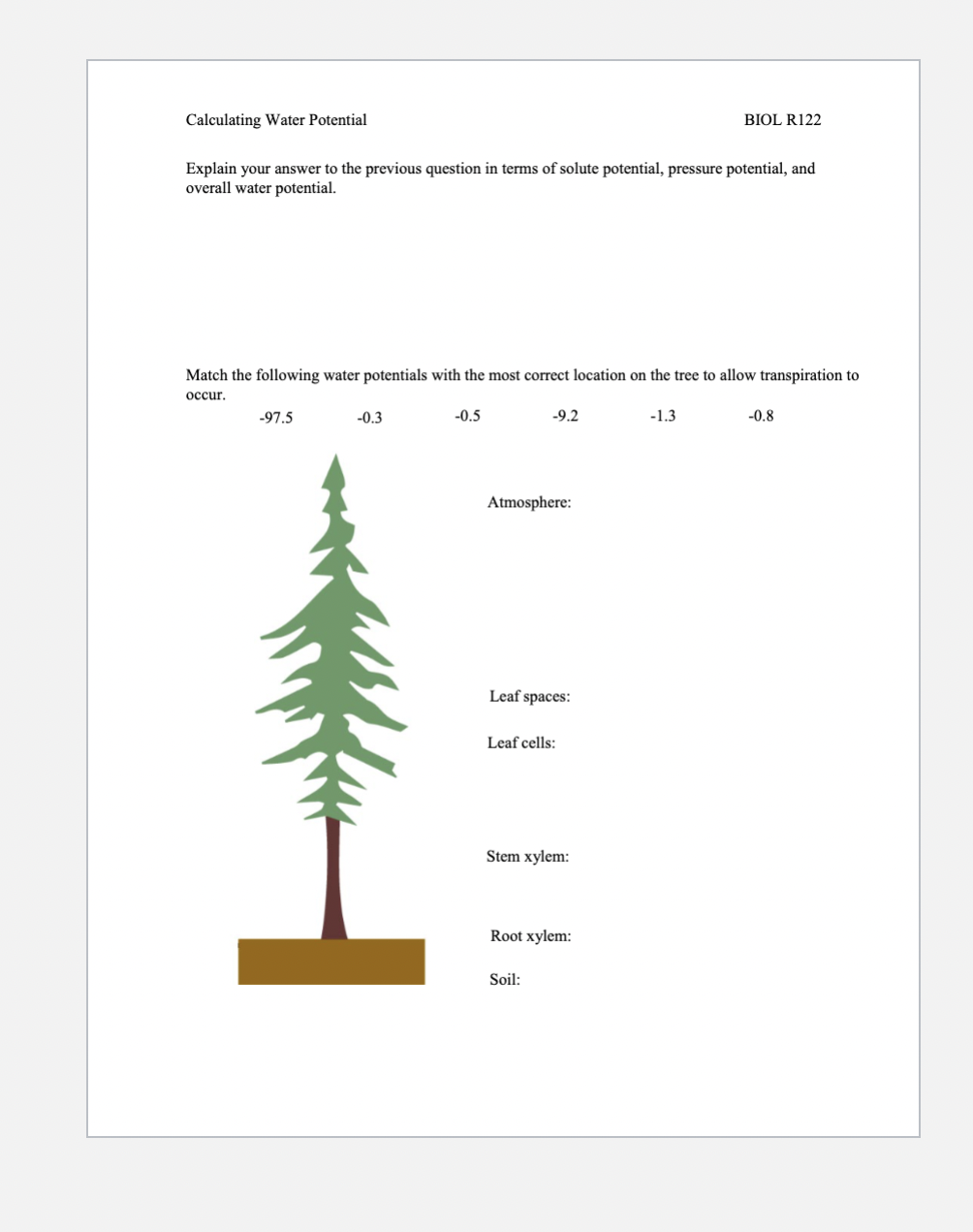 Calculating Water Potential
BIOL R122
Explain your answer to the previous question in terms of solute potential, pressure pot