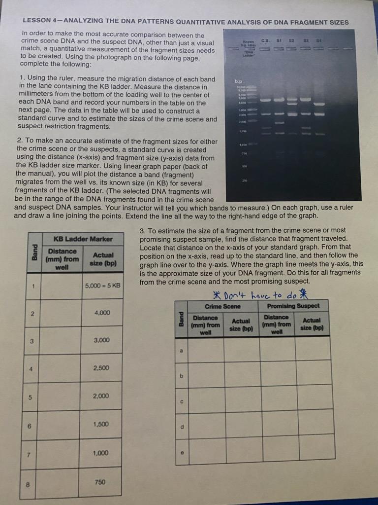 Please only do the KB Ladder Table and make the graph