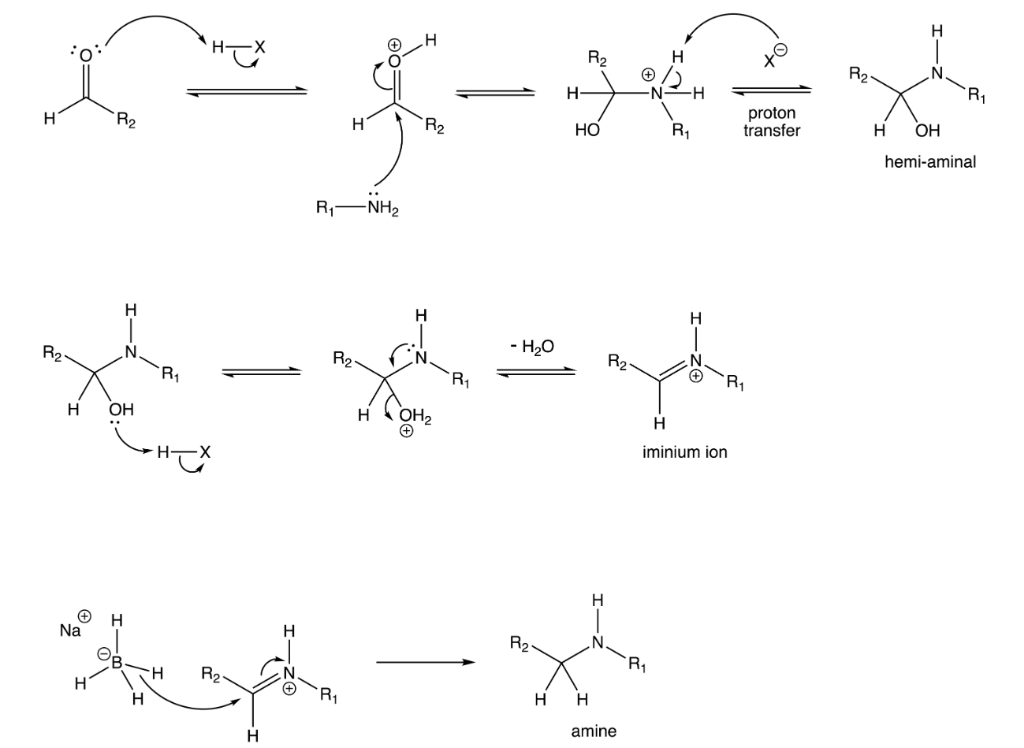 Solved Hi, Please help me draw a mechanism for reductive | Chegg.com