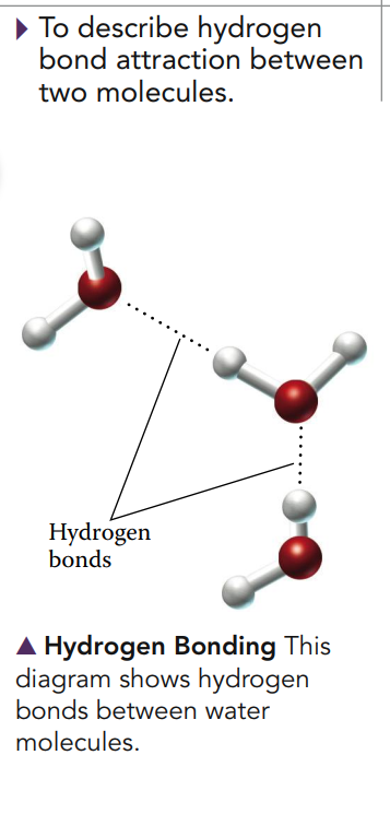 Ice holds appropriate size molecules interstitially explain how it holds  them - Chemistry - Hydrogen - 6798720