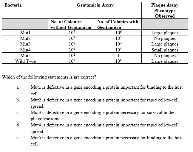 Bacteria Gentamicin Assay Plaque Assay Phenotype
