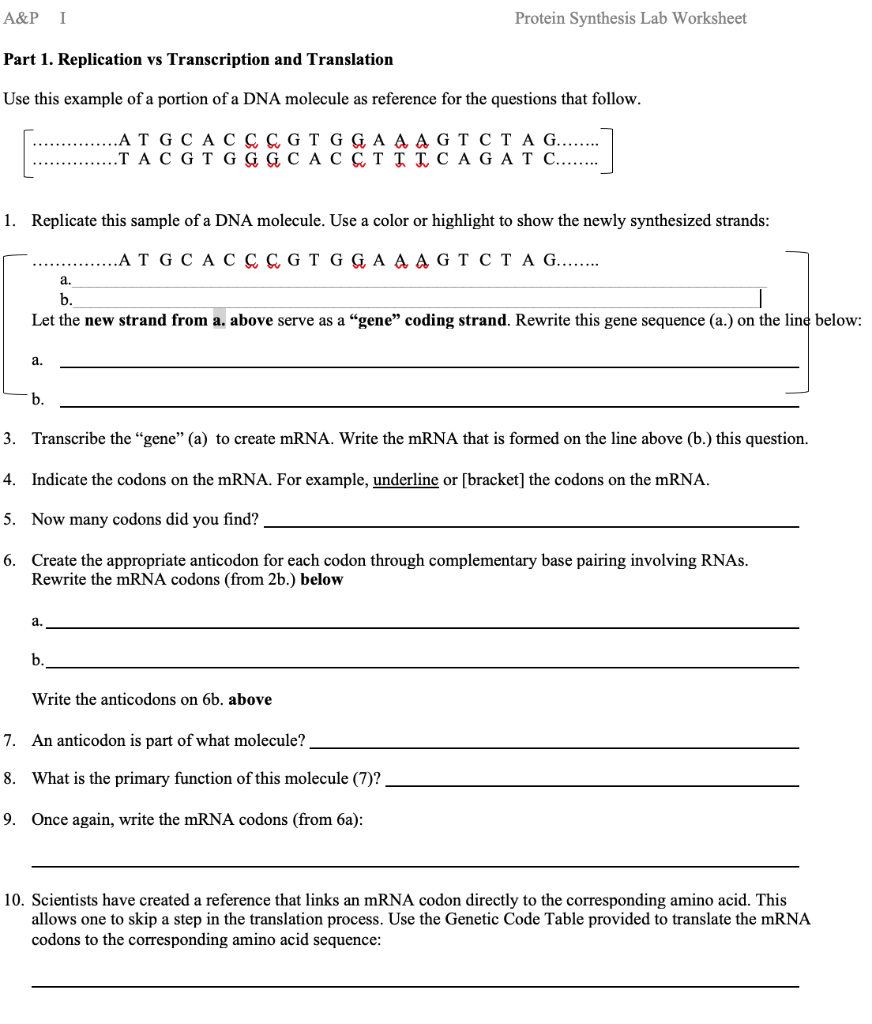 Solved A&P I Protein Synthesis Lab Worksheet Part 21.  Chegg.com Regarding Transcription And Translation Worksheet Answers