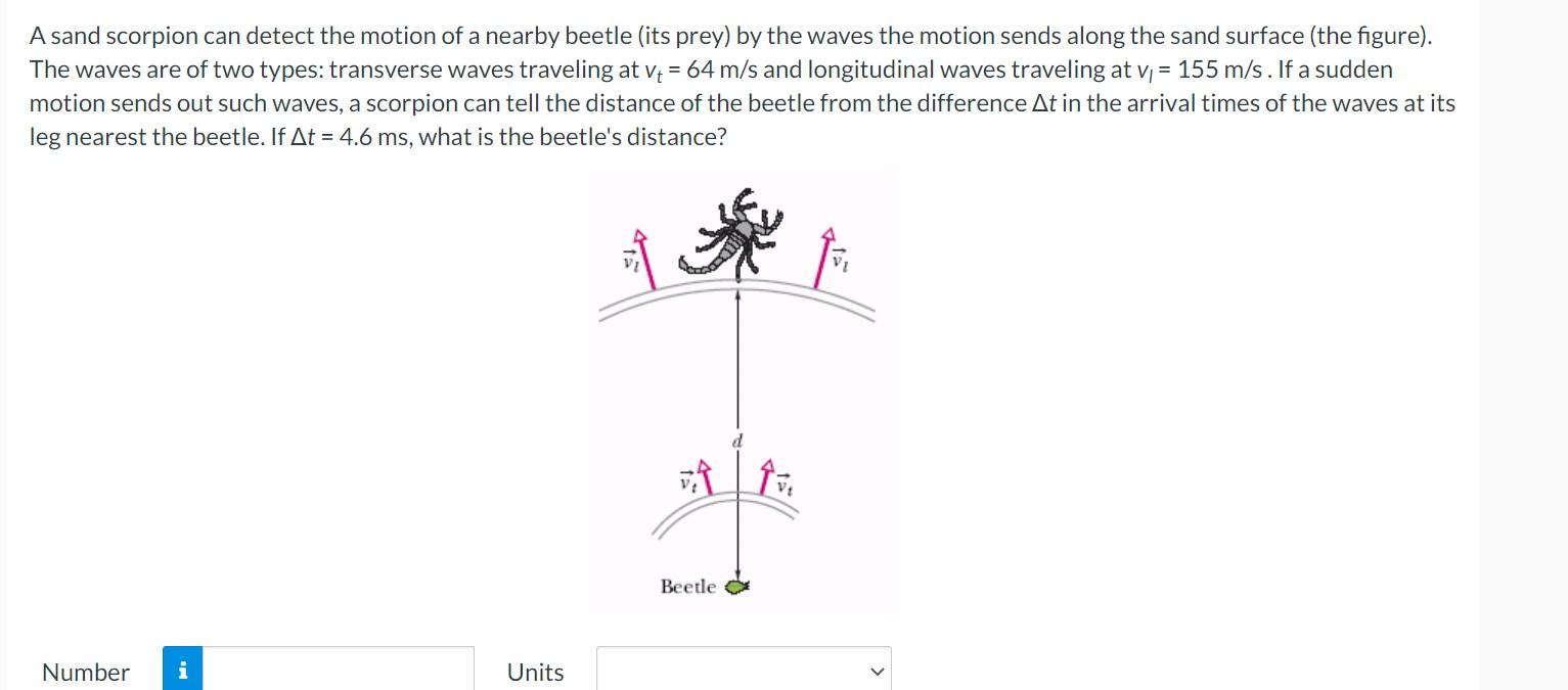 A sand scorpion can detect the motion of a nearby beetle (its prey) by the waves the motion sends along the sand surface (the