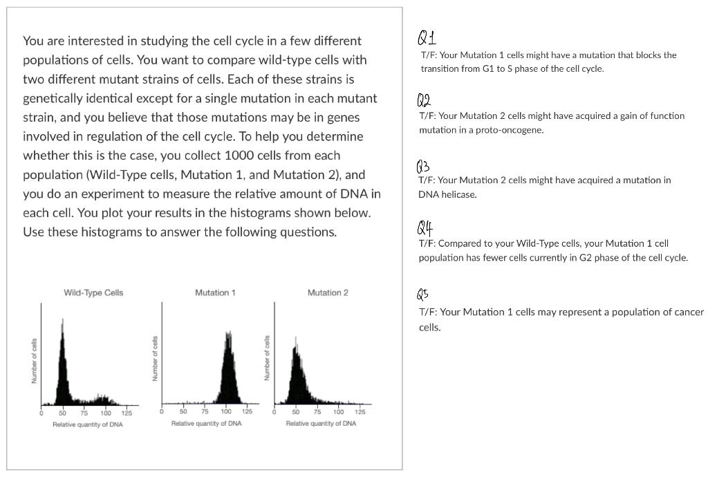 Solved You are interested in studying the cell cycle in a | Chegg.com