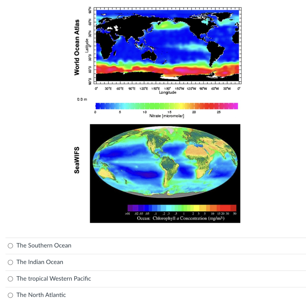 Solved Based on the nitrate and chlorophyll maps where would | Chegg.com