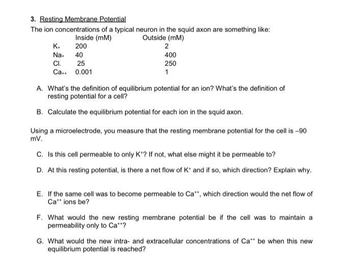 Solved 3. Resting Membrane Potential The ion concentrations | Chegg.com