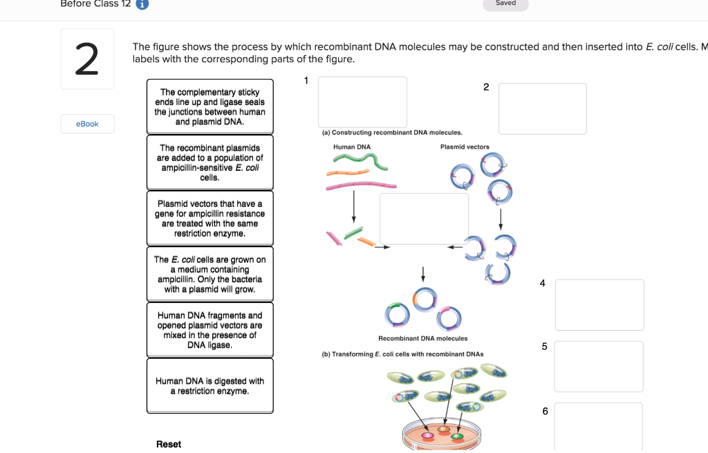 Solved Before Class 12 1 Saved 2 The figure shows the Chegg com