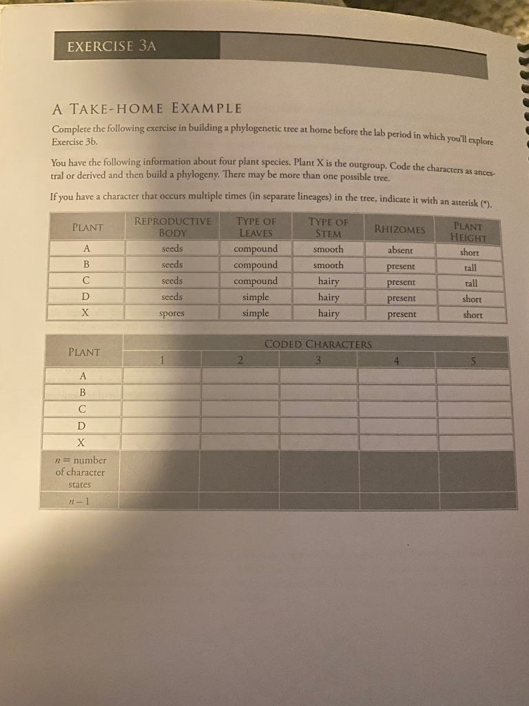 EXERCISE 3A A TAKE-HOME EXAMPLE Complete the | Chegg.com