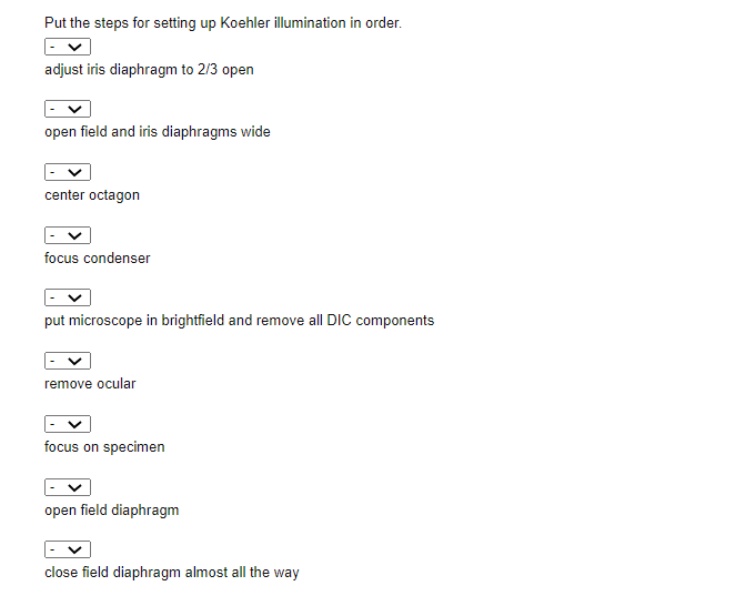 Solved Put the steps for setting up Koehler illumination in | Chegg.com