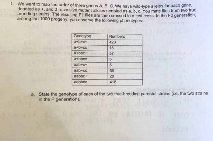 Solved We want to map the order of three genes A, B, C. We | Chegg.com
