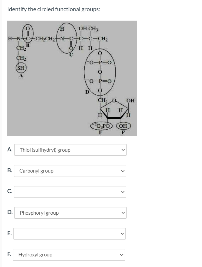 Solved Current Attempt In Progress What Is The Name Of Th Chegg Com