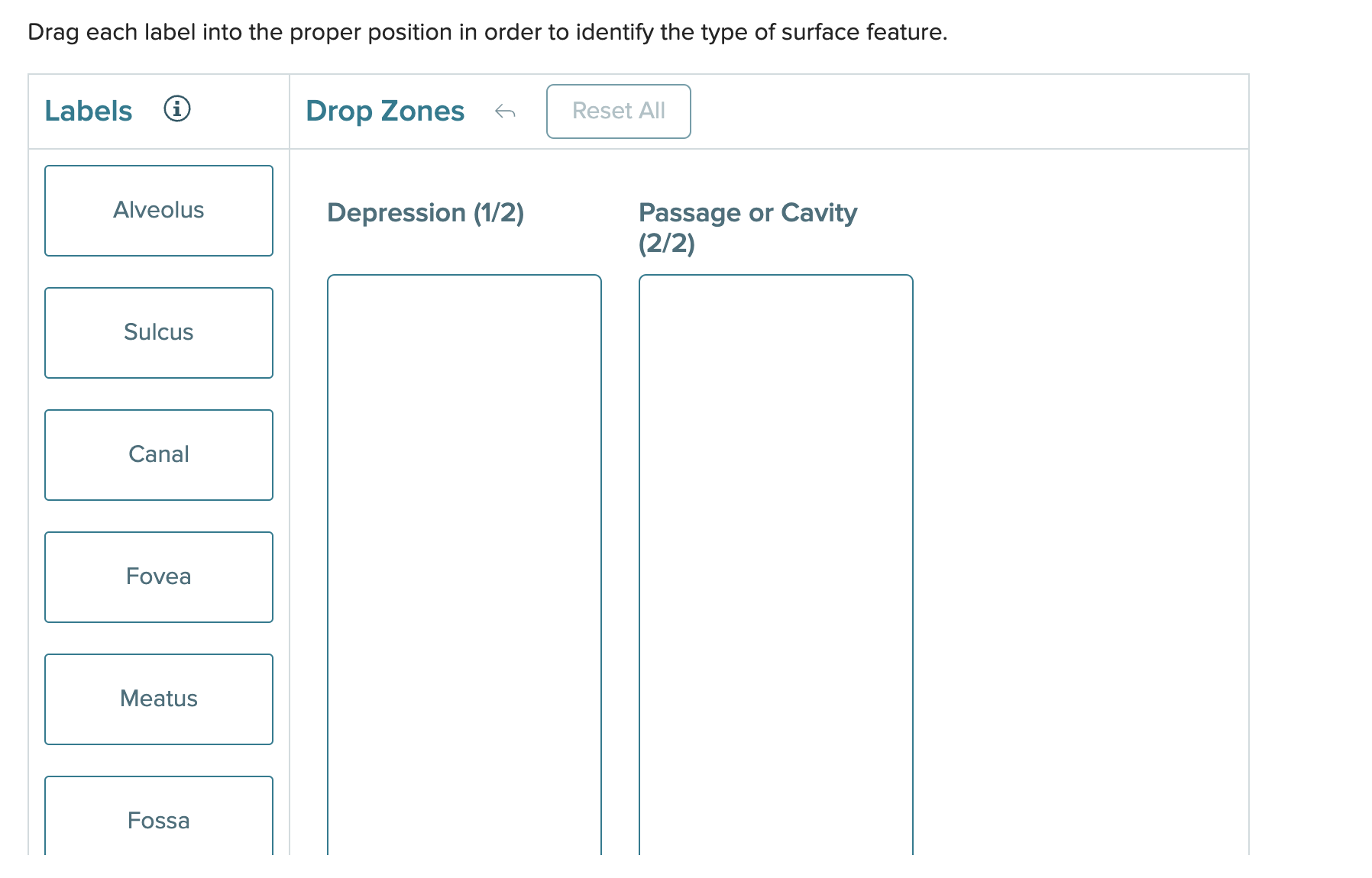 Solved Drag Each Label Into The Proper Position In Order To Chegg Com