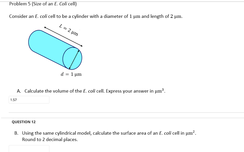 solved-using-the-same-cylindrical-model-calculate-the-chegg