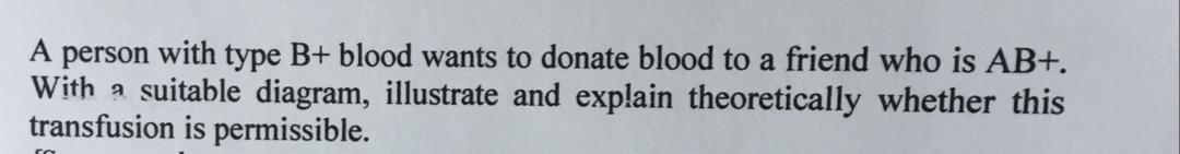 Solved A person with type B+ blood wants to donate blood to | Chegg.com