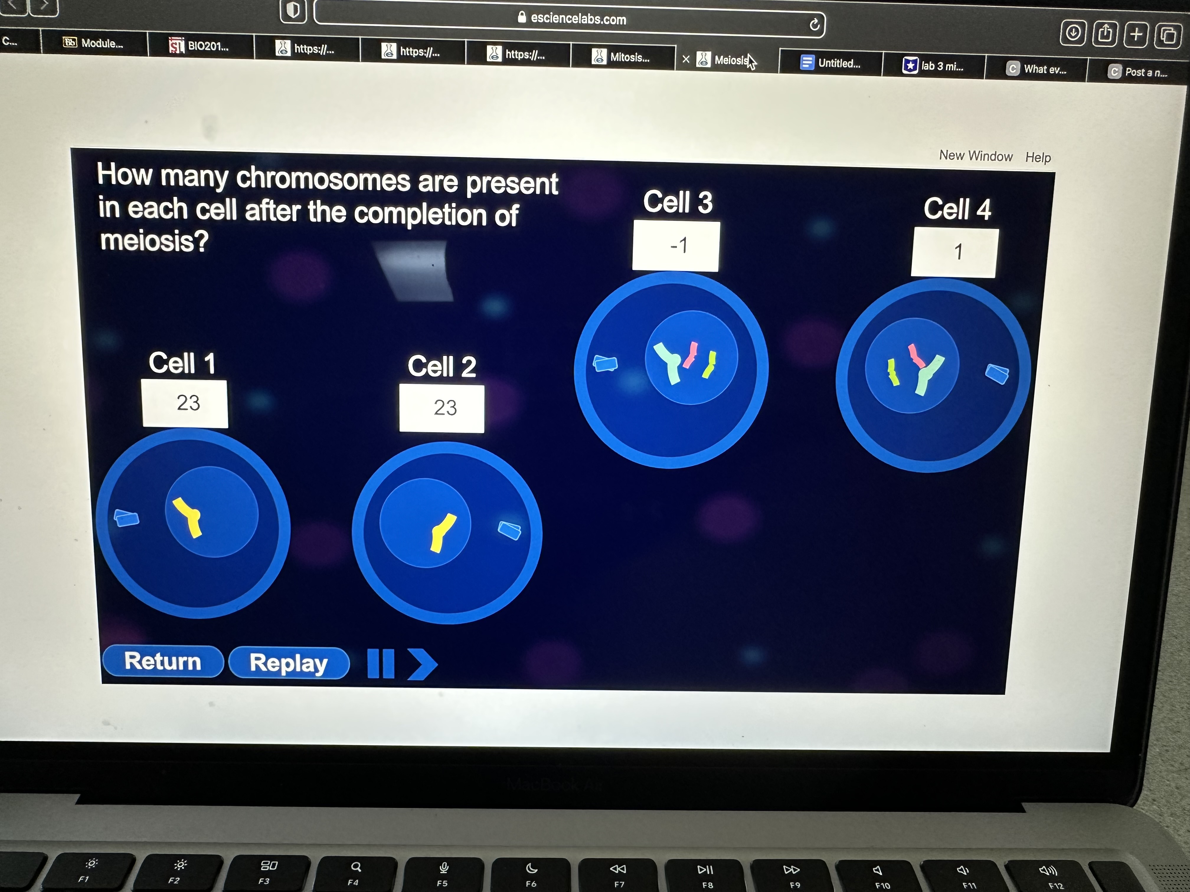 Solved Cell Cell How Many Chromosomes Are Present In, 47% OFF