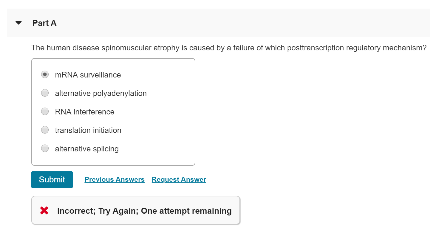 Solved The human disease spinomuscular atrophy is caused by | Chegg.com