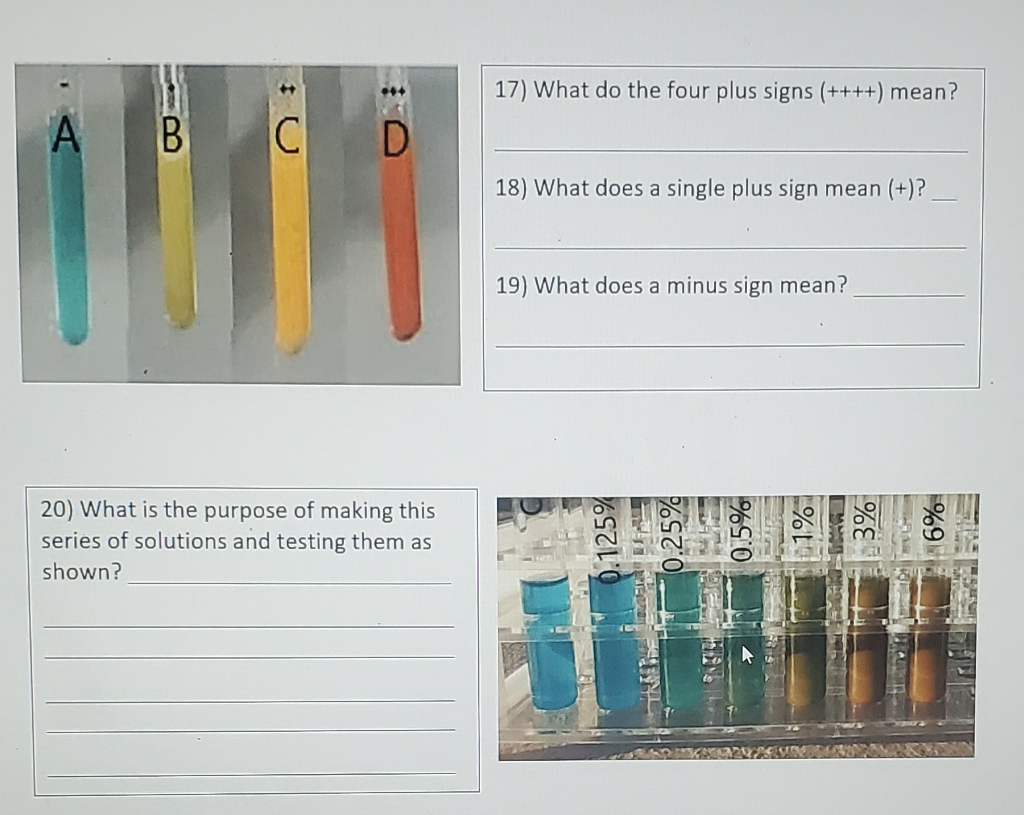 solved-17-what-do-the-four-plus-signs-mean-a-b-d-chegg