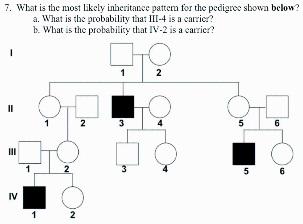 probability of inheritance assignment quizlet