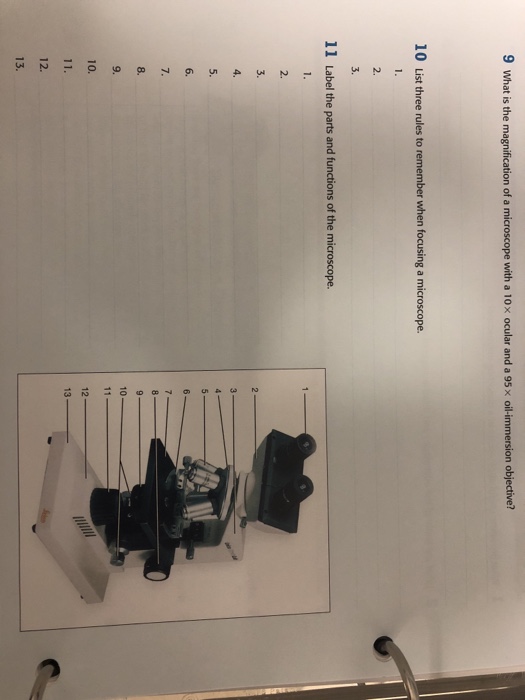 Solved 1 What are some useful applications of a dissecting