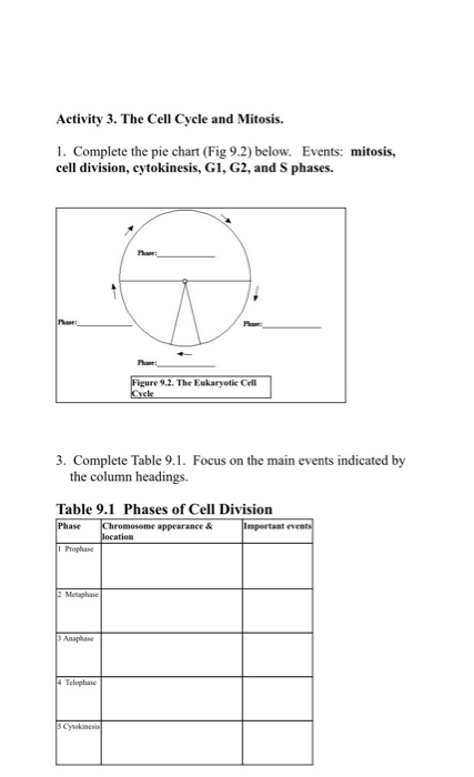 Solved Activity 3. The Cell Cycle and Mitosis. 1. Complete | Chegg.com