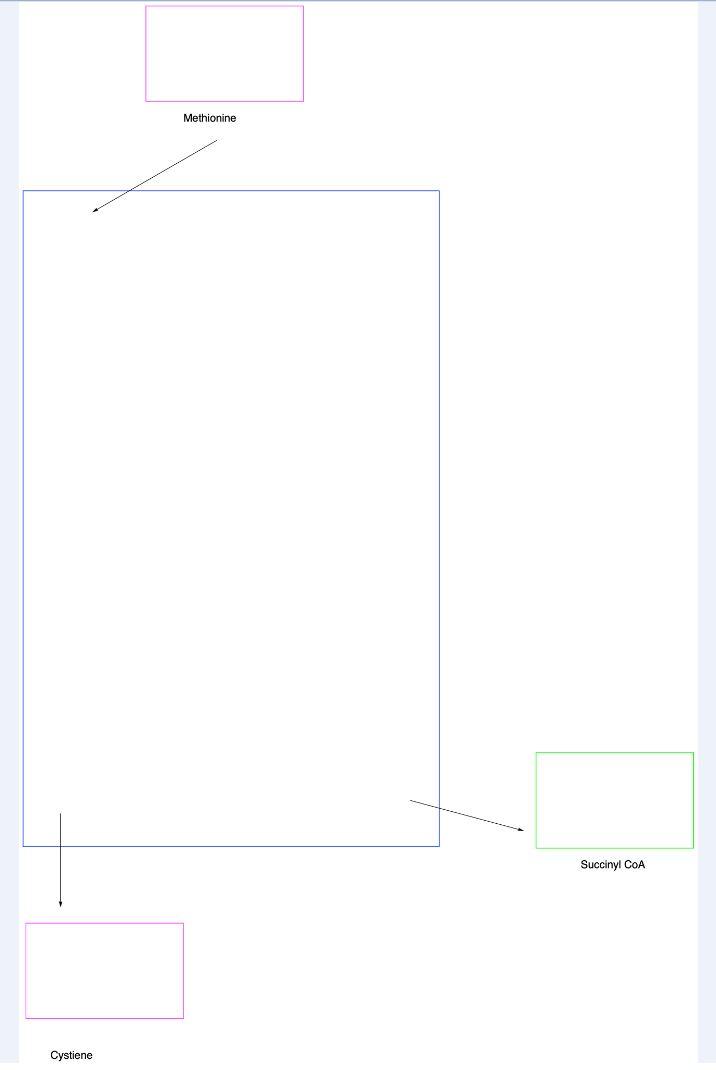 Fill in boxes labelled Q1 on worksheets 4, 9, and 14