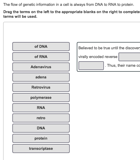 Solved The flow of genetic information in a cell is always | Chegg.com