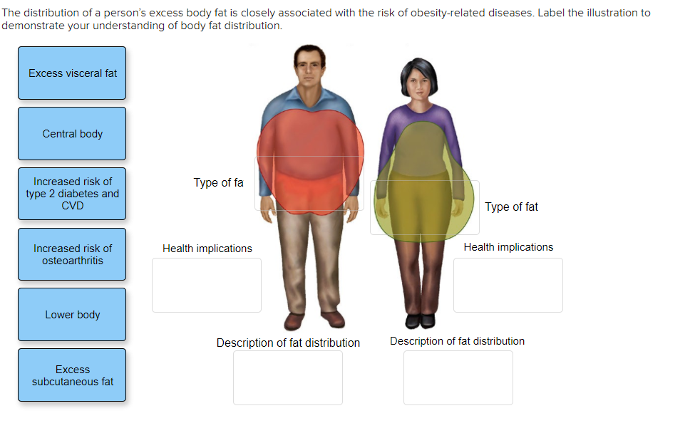 Solved The Distribution Of A Person S Excess Body Fat Is Chegg Com