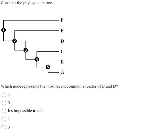 Solved Consider the phylogenetic tree. Which node represents | Chegg.com