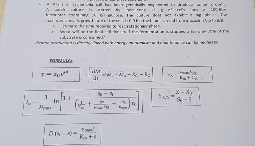Solved 5 A Strain Of Escherichia Coli Has Been Genetically Chegg