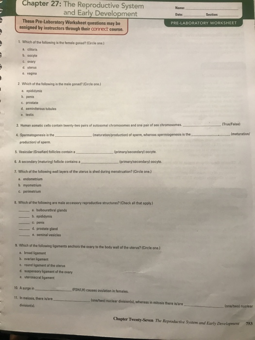 Chapter 11 Cell Reproduction Worksheet Answers Escolagersonalvesgui 