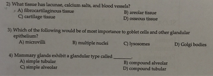 Solved: What Tissue Has Lacunae, Calcium Salts, And Blood | Chegg.com