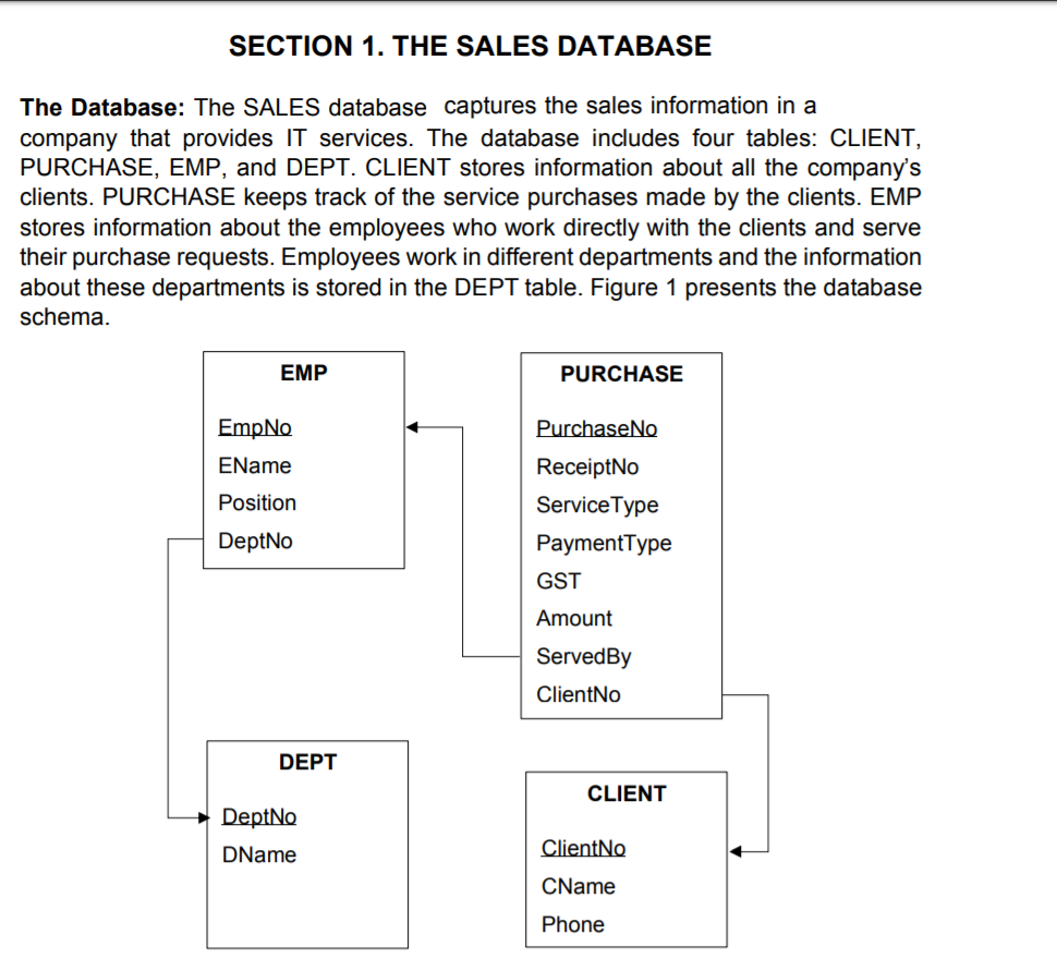 Solved SECTION 1. THE SALES DATABASE The Database: The SALES | Chegg.com