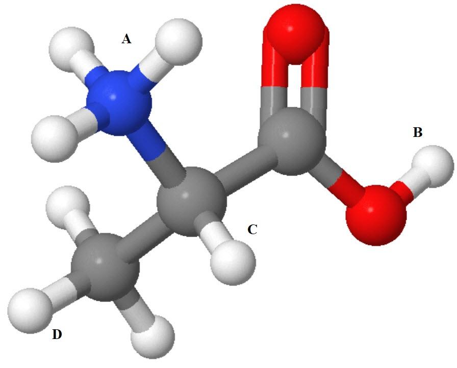 solved-identify-the-acidic-hydrogen-s-in-each-of-the-chegg