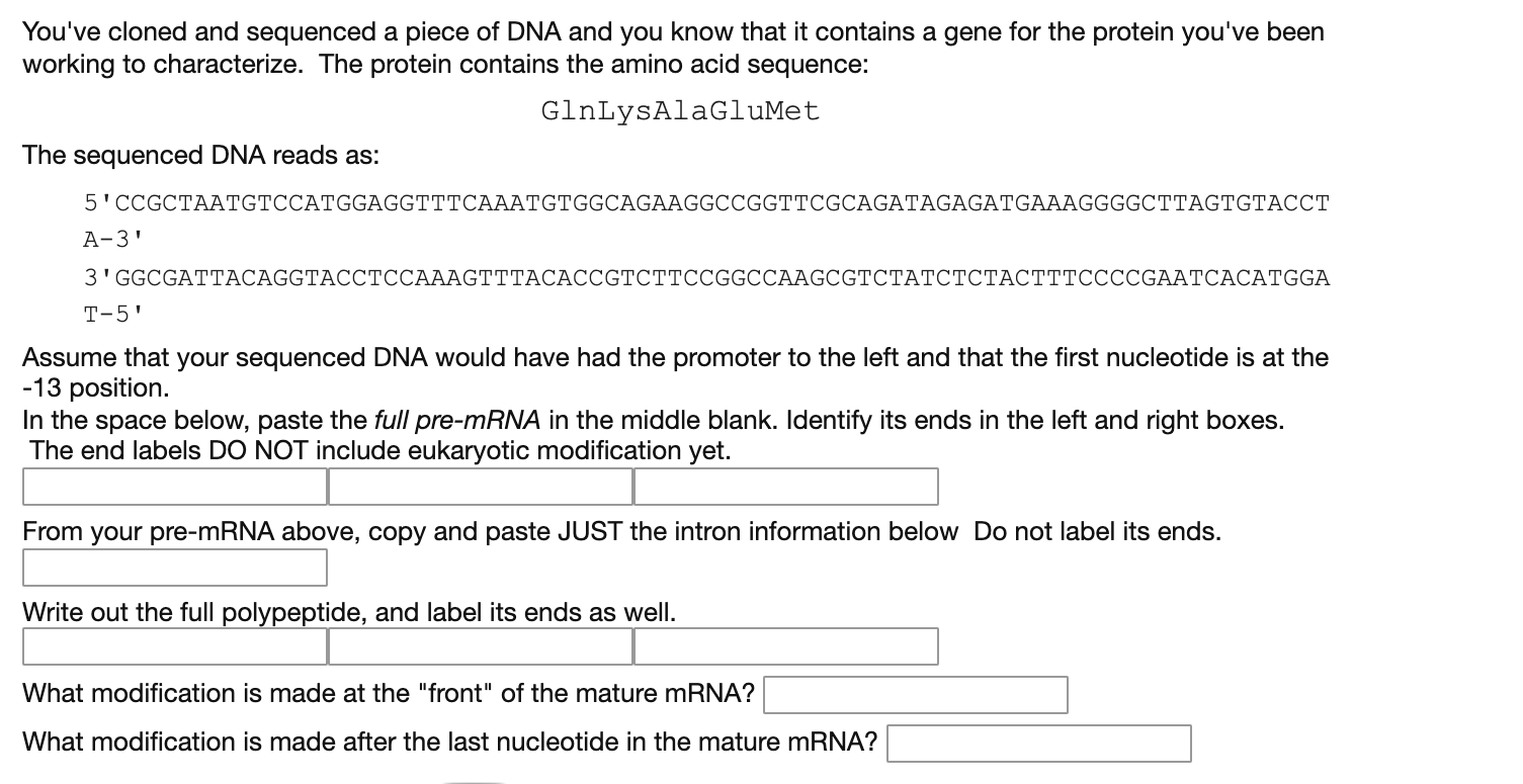 Solved You've cloned and sequenced a piece of DNA and you | Chegg.com