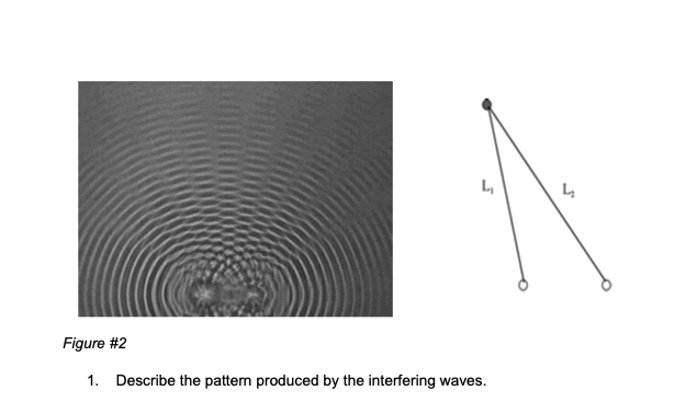 Solved L 4 Figure #2 1. Describe the pattern produced by the | Chegg.com