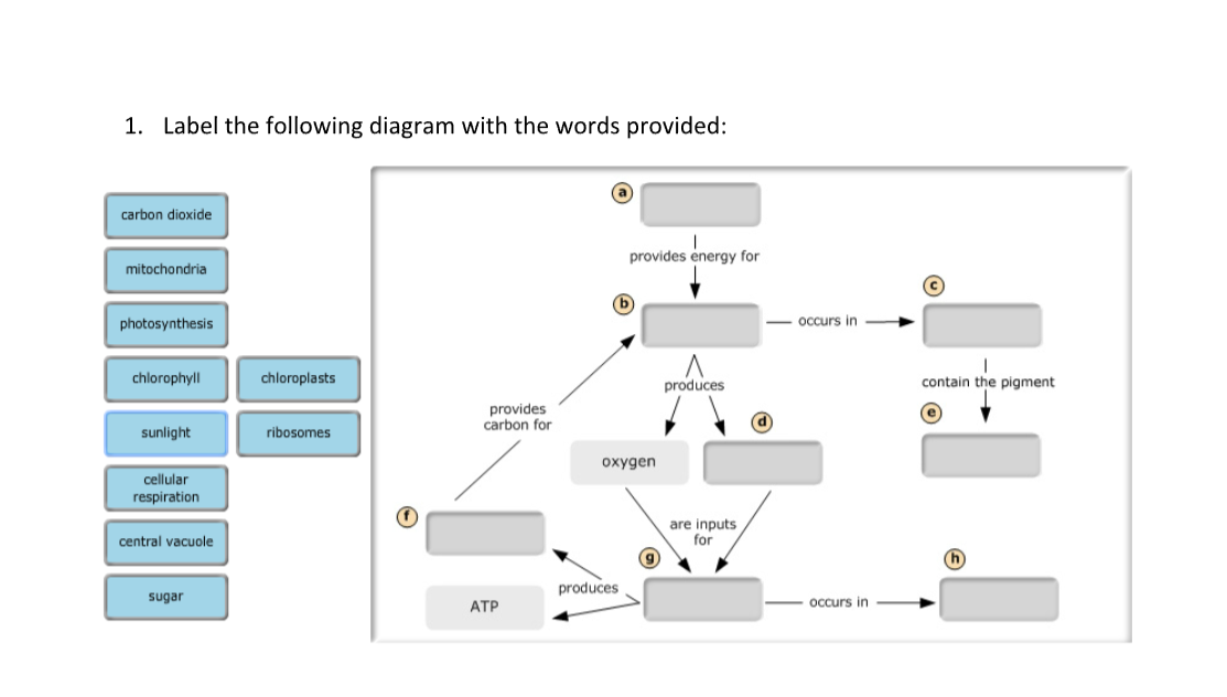 Solved 1. Label the following diagram with the words | Chegg.com