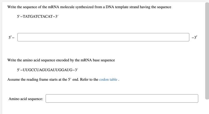 Solved Write the sequence of the mRNA molecule synthesized | Chegg.com